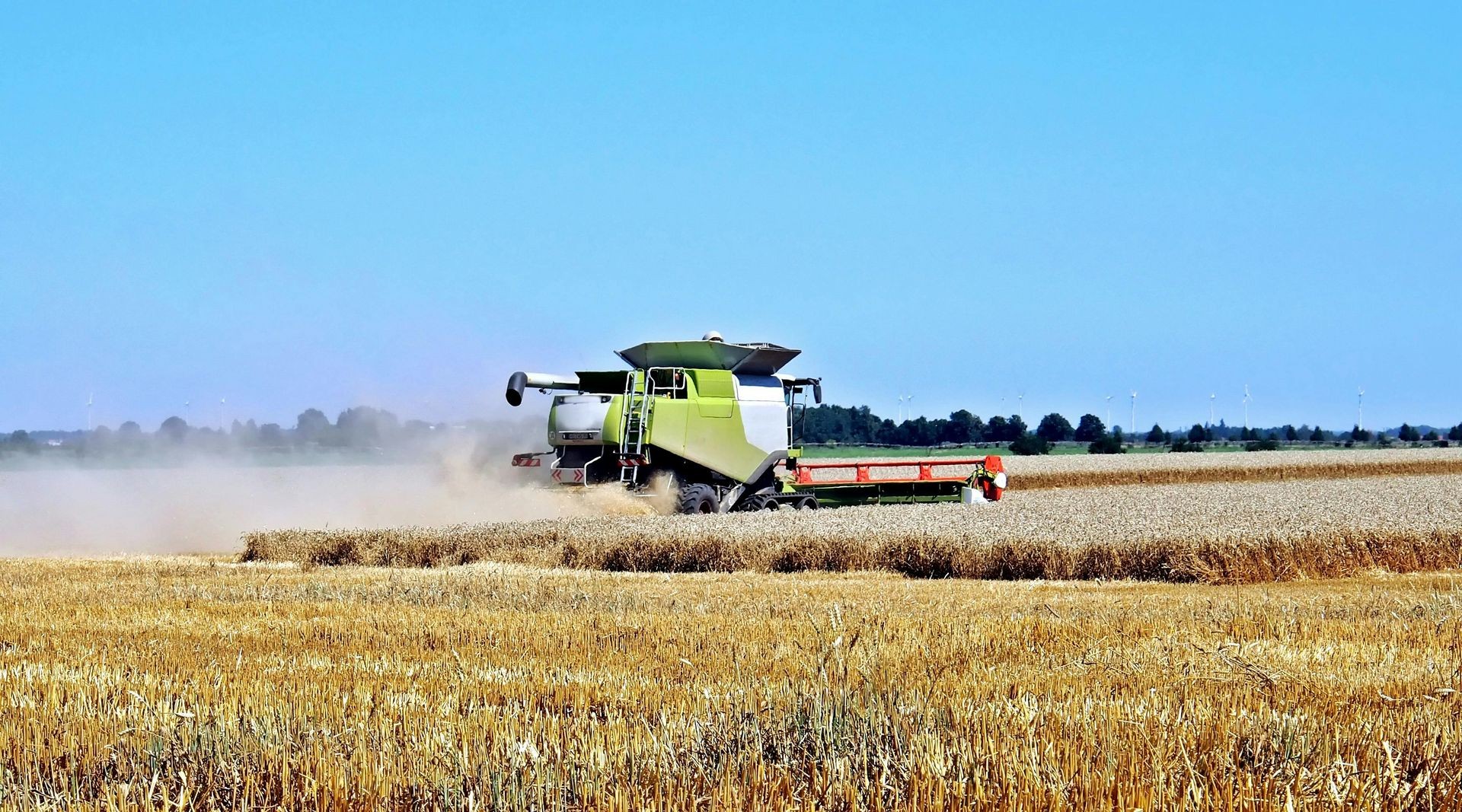 Agriculture & Autosuffisance Alimentaire