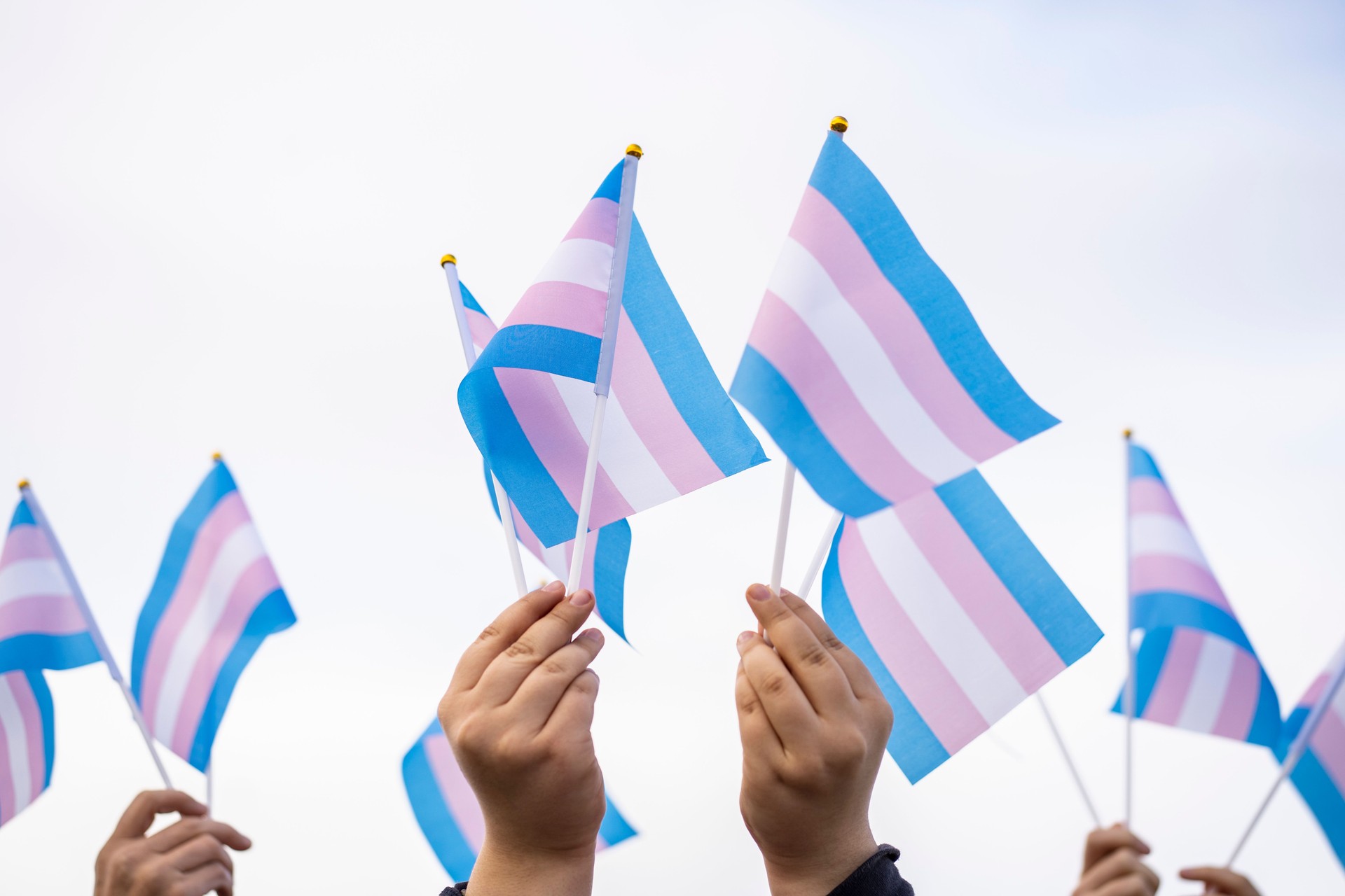 Drapeaux transgenres retenant par des personnes sur une démontration